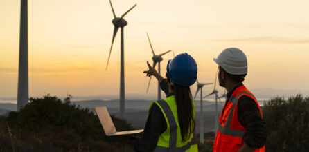 Two engineers in vests and hard hats standing in front of a line of wind turbines