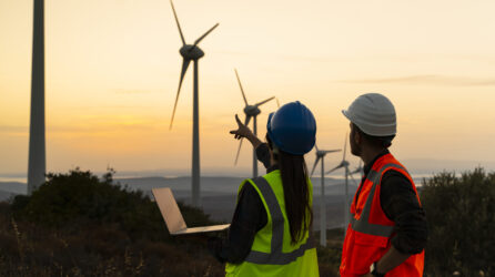 Two engineers in vests and hard hats standing in front of a line of wind turbines